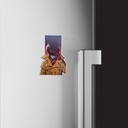 Refrigerator Magnet Mock-up 3-13.jpg