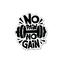 No Pain No Gain - Premium Vinyl Sticker