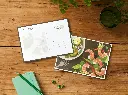 Seafood - Laminated Postcard