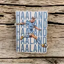  HAALAND - Magnetic sticker