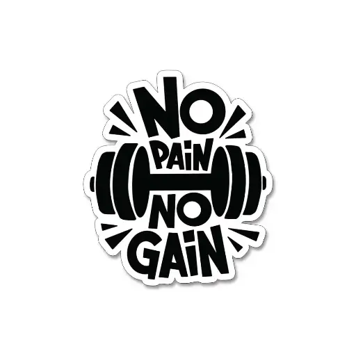 [ST_PVS_041] No Pain No Gain - Premium Vinyl Sticker