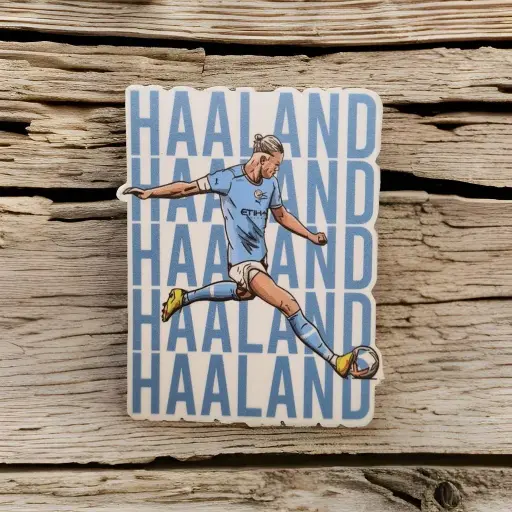 [ST_FMS_016]  HAALAND - Magnetic sticker